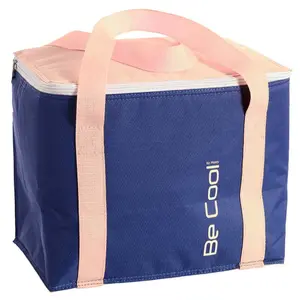 Borsa frigo in 2 colori Alpino image-0