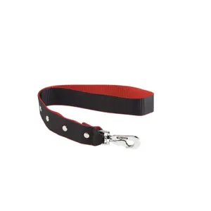 Dog leash Alter Ego L image-0
