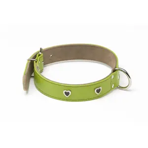 Collar para perro Alter Ego Citadine
