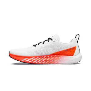 Running shoes Altra Vanish Pulse image-1