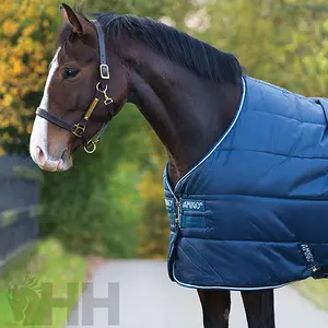 Stalldecke für Pferde Amigo 100g image-1