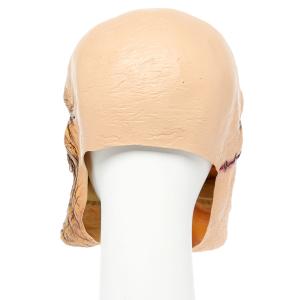 Latexmaske Amscan Monster image-4