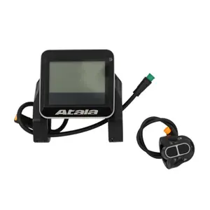 LCD screen Ananda Wheelyoo