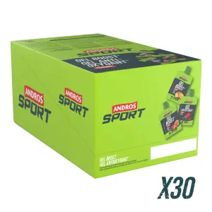 Gel Energizer Boost Andros Sport Agrumes Yuzu Guarana image-3