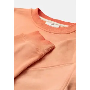 Sweatshirt Anerkjendt Toni Washed image-2