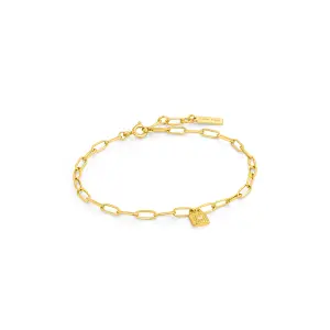Bracelet femme Ania Haie B032-01G image-0