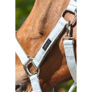 Νάιλον halter για άλογο ANKY ATH261001 image-2