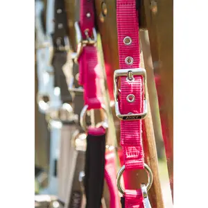 Νάιλον halter για άλογο ANKY ATH261001 image-2