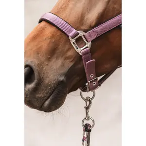 Halter and lead rope set for horse ANKY ATH262001 image-1