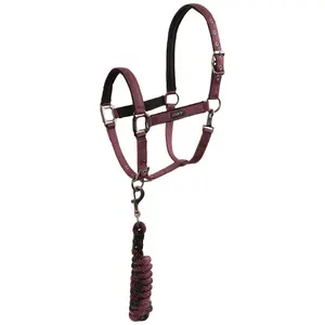 Conjunto de cabresto e corda de chumbo para cavalo ANKY ATH26001 3C image-1