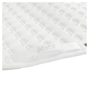 Estera de doma para caballos ANKY XB24003 image-4