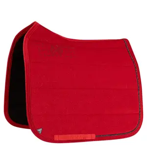 Esteira de dressage para cavalos ANKY XB252110 image-0