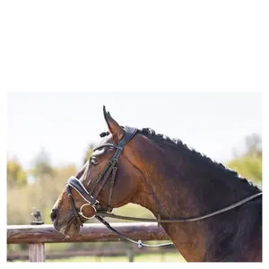 Engelsk-kombineret ridegrime med anatomisk næsebånd i metal ANKY Pullbackgun image-1