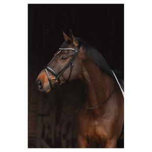 Fivela de equitação metálica ANKY PatentATH24001 image-2