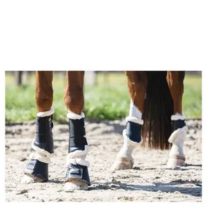 Cavalos de fetlocks ANKY image-2