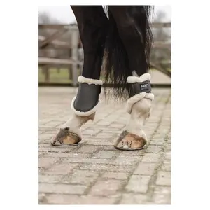 Cavalos de fetlocks ANKY image-2