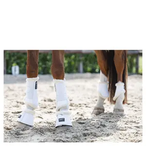 Cavalos de fetlocks ANKY image-2