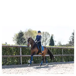 Polo bandáže pro koně ANKY image-4