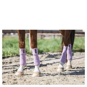 Bandes de polo pour cheval ANKY image-4