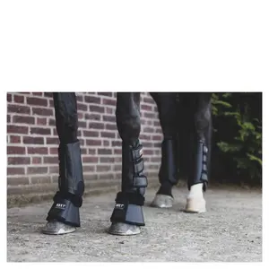 Cloches pour cheval ANKY Matt image-2