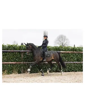 Protetor de cabeça para cavalo longo ANKY Leafs image-2