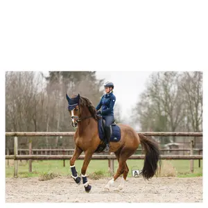 Chapéu de cavalo comprido ANKY Leafs image-2