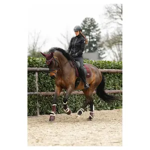 Bonnet pour cheval long ANKY Leafs image-3