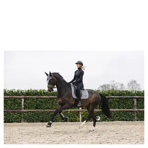 Bonnet pour cheval long ANKY Stones image-1