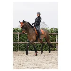 Protetor de cabeça para cavalo longo ANKY Stones image-2