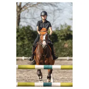 Protetor de cabeça para cavalo longo ANKY Stones image-1