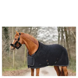 Almofada de sela para cavalos ANKY VictoryATB24006 image-1