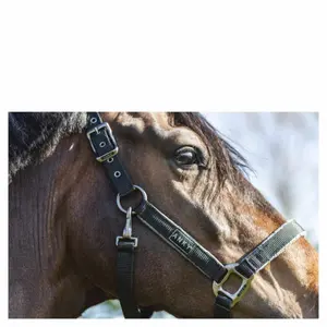 Καπίστρι αλόγου από δέρμα ANKY Grooming image-2