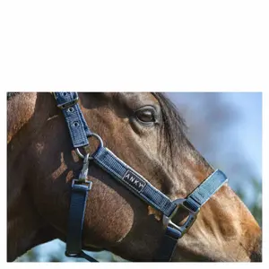 Καπίστρι αλόγου από δέρμα ANKY Grooming image-2