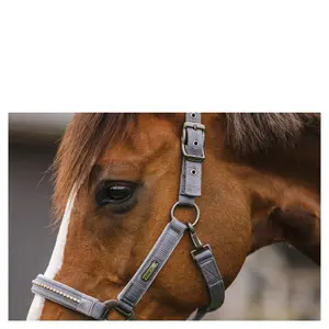 Licol pour cheval et laisse en cuir ANKY Stones image-2