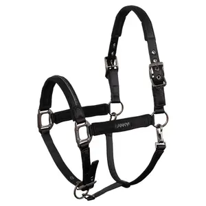 Licol pour cheval ANKY Victory image-0