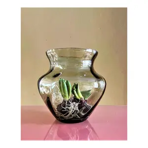 Vaso Anna von Lipa Dahlia image-2