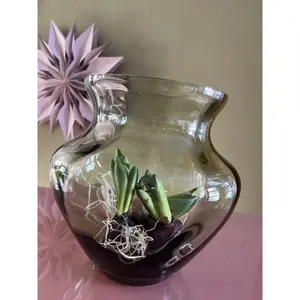 Vaso Anna von Lipa Dahlia image-3