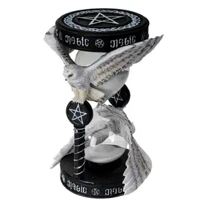 Hourglass pacific trading Anne Stokes Magical Owl image-1