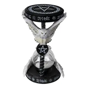Hourglass pacific trading Anne Stokes Magical Owl image-0