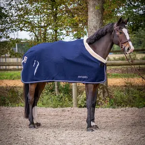 at-wool-fleecefilt-for-hastar-antares-650-g-marinbla