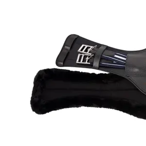 Sangle pour cheval Antarès Sancos image-2