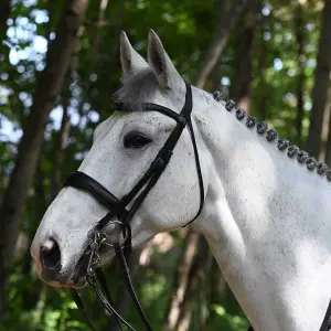 Bride de dressage équitation Signature by Antarès image-3