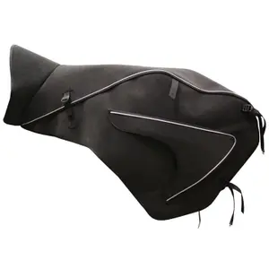 Motorradschürze Bagster Briant F650 2008-2011 image-1