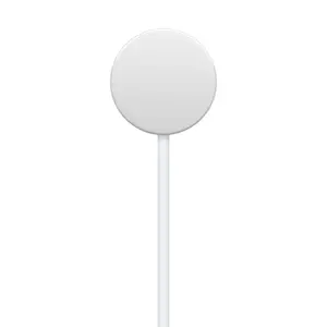 Câble de charge rapide magnétique vers USB-C Apple 1 m image-1