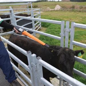 Lecteur portable APS SmartReader HR5 image-5