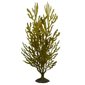 Διακόσμηση ενυδρείου τεχνητό φυτό Aqua Della Kelp buisson image-0