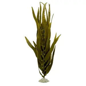 Διακόσμηση ενυδρείου τεχνητό φυτό Aqua Della Kelp image-0