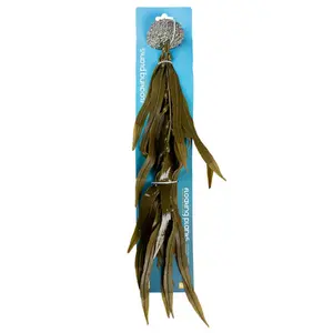 Διακόσμηση ενυδρείου τεχνητό φυτό Aqua Della Kelp image-1