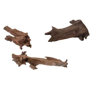 Aquarium decoration Aqua Della Jati