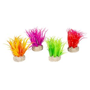 Plant aquarium decoration Aqua Della Hair Grass